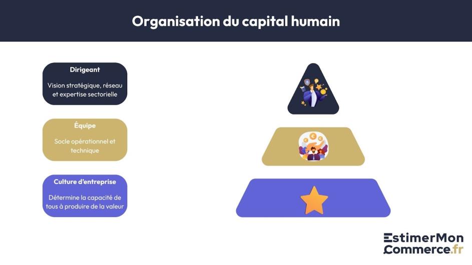 organisation capital humain estimation commerce
