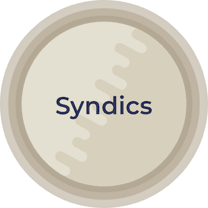 syndics